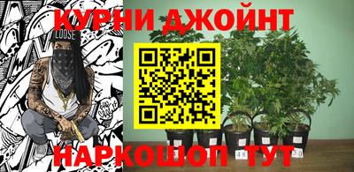марихуана Будённовск
