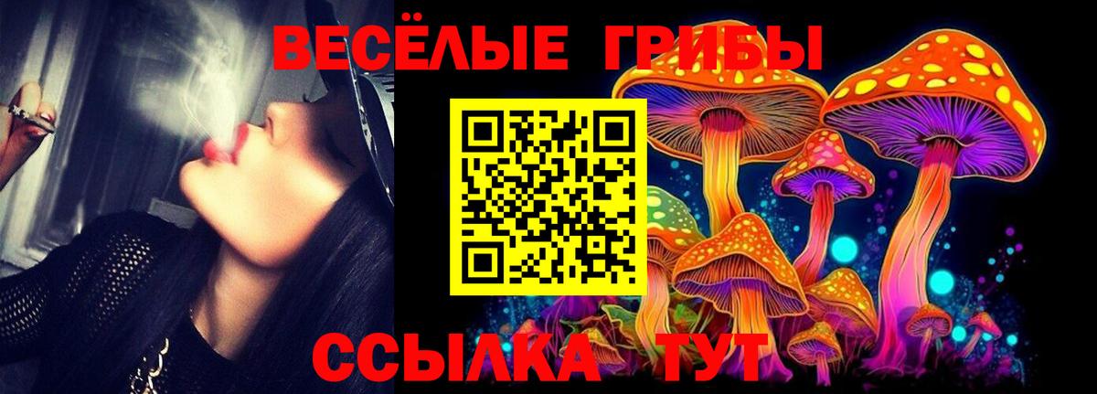 Ростов Великий  Галлюциногенные грибы мицелий  Вход с VPN  Галлюциногенные грибы прущие грибы 